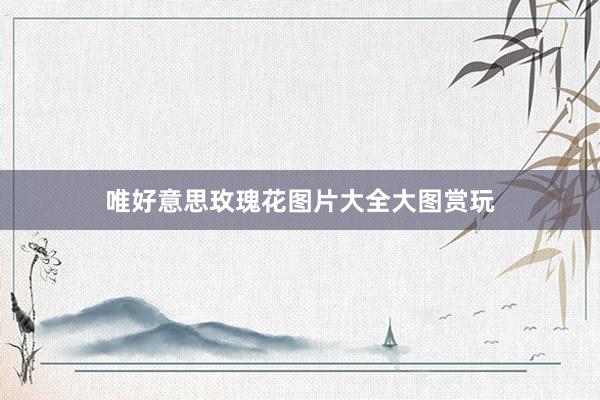 唯好意思玫瑰花图片大全大图赏玩